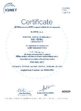 ISO 9001 (English)